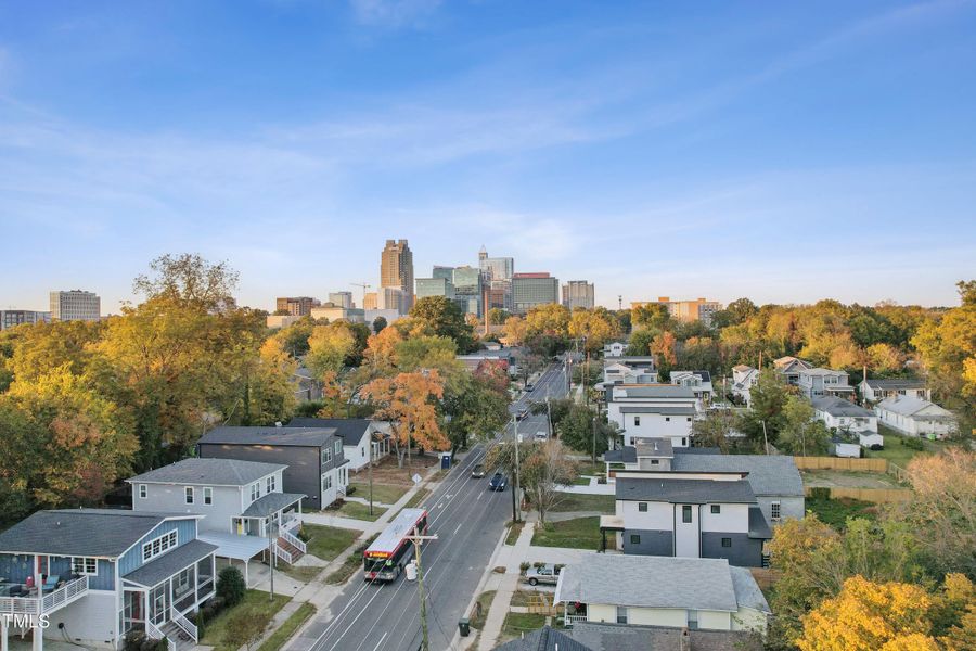 P_RAL_GRY_NHD_AER_22