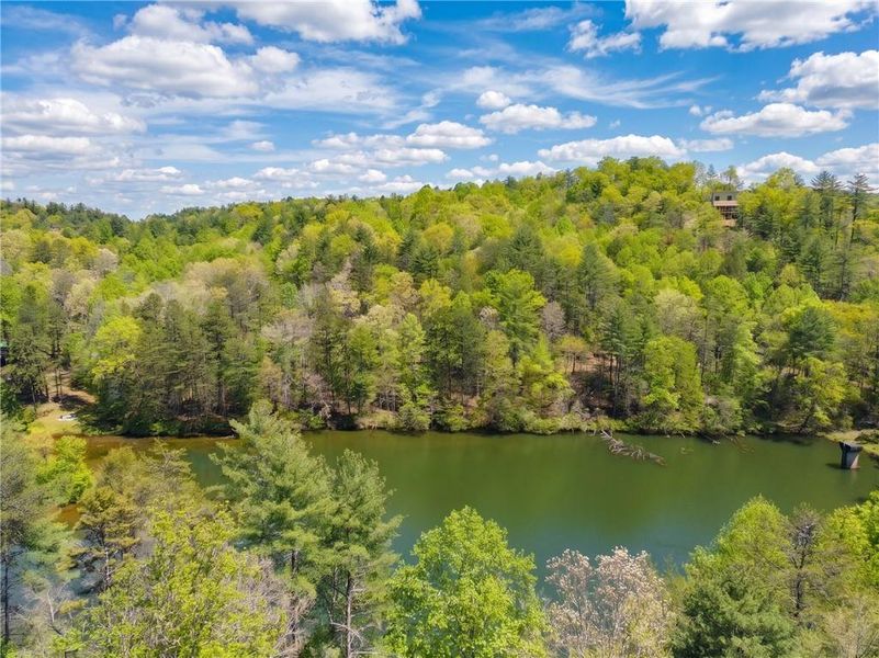 Natural landscape and outdoor views near  in Blue Ridge (Image 44).