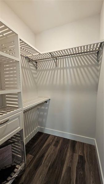 Spacious, unfurnished interior of a new home in , Tampa (Image 41).