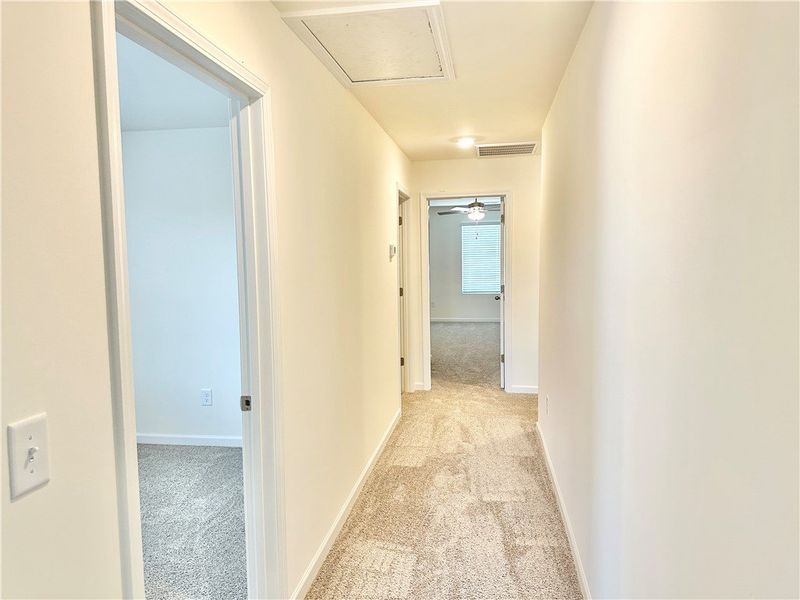 *Photo is from similar Palomino. Actual pics will