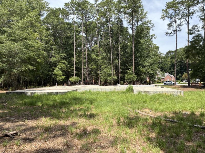 Natural landscape and outdoor views near  in Walterboro (Image 4).