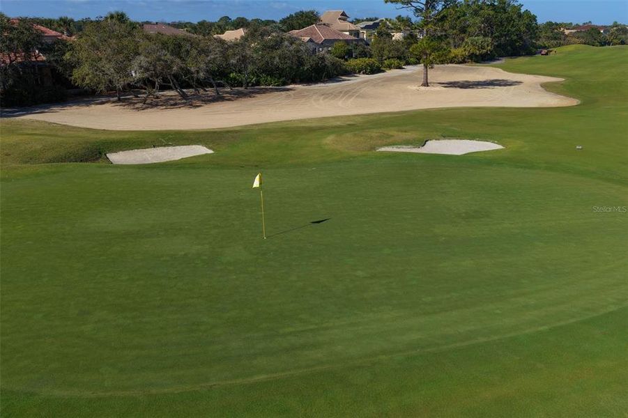 Natural landscape and outdoor views near  in Palm Coast (Image 51).