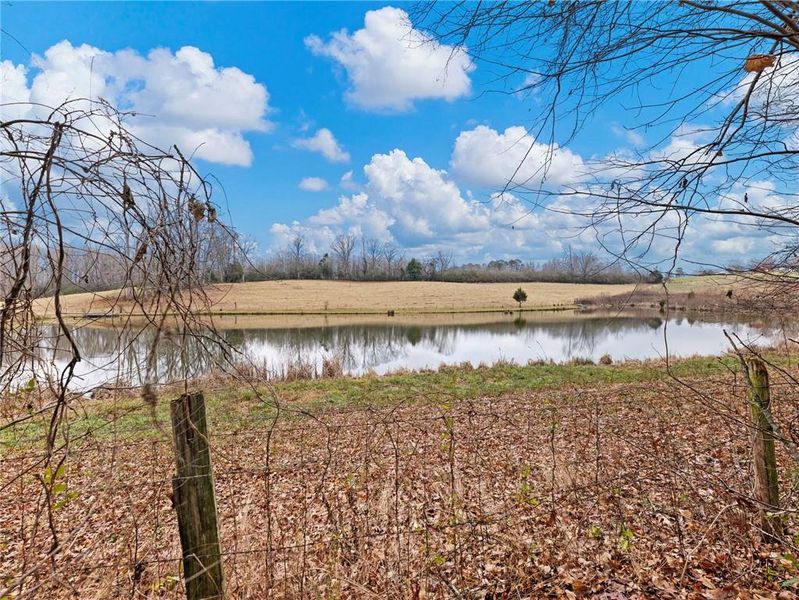 Natural landscape and outdoor views near in Gainesville (Image 39). Natural landscape and outdoor views near in Gainesville (Image 39).