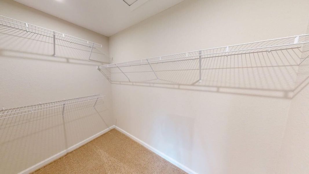 Spacious, unfurnished interior of a new home in RiverTown, St. Johns (Image 6).