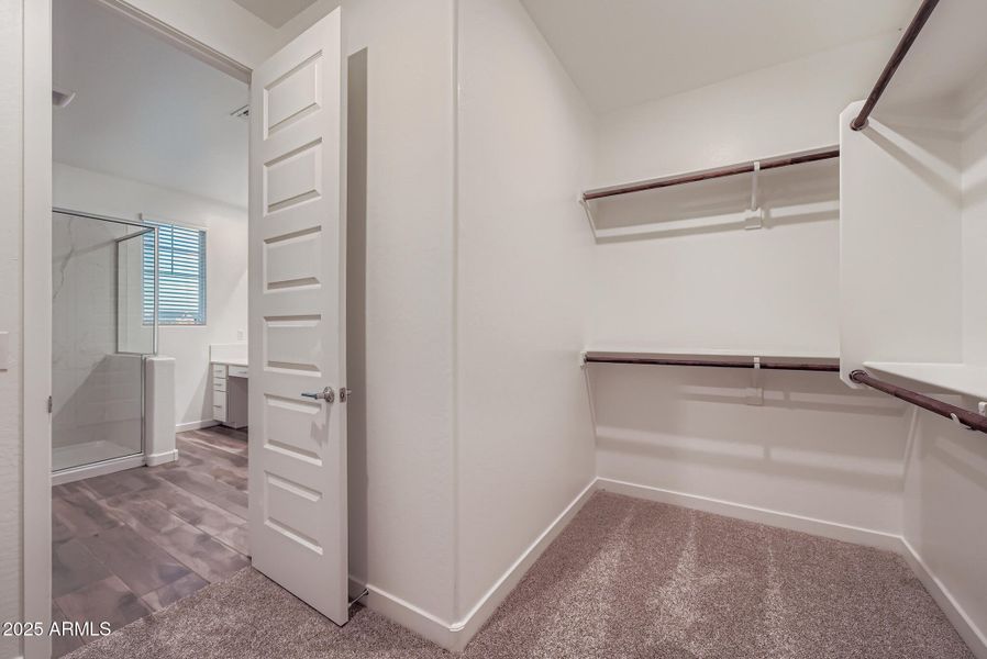 Owners Walk in Closet