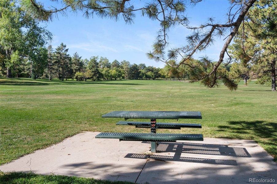 Natural landscape and outdoor views near  in Denver (Image 41).