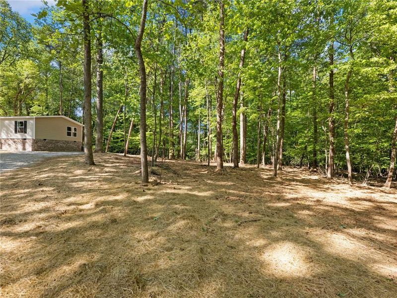 Natural landscape and outdoor views near  in Gainesville (Image 36).