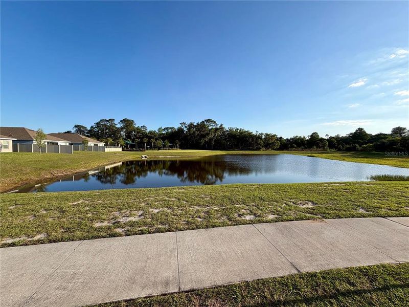 Natural landscape and outdoor views near  in Davenport (Image 28).