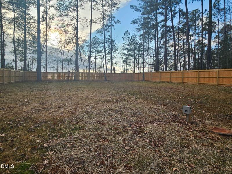 full fanced back yard