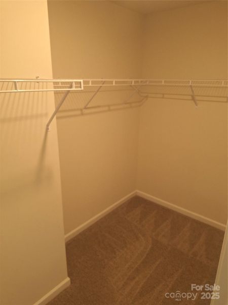 owners suite closet