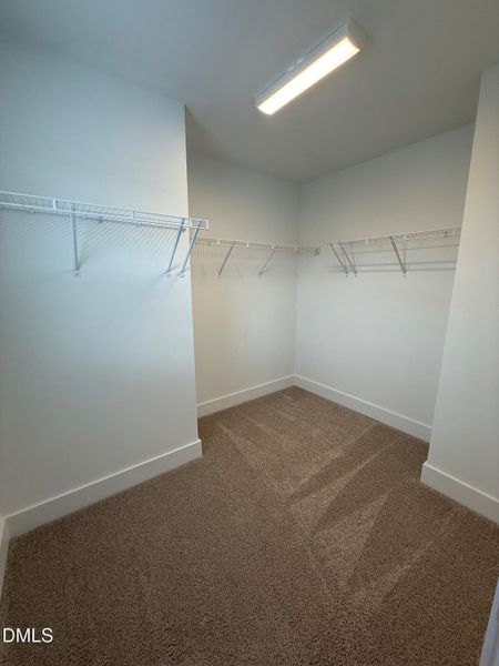 Lot 28 Primary Walk In Closet Lot 28 Primary Walk In Closet