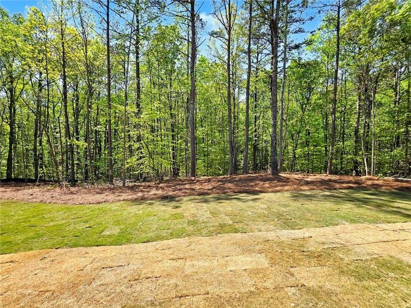 Natural landscape and outdoor views near  in Dallas (Image 23).