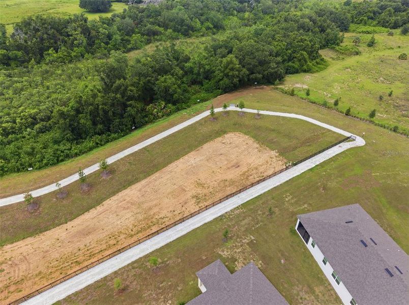 Site preparation for new homesites in , Clermont (Image 37).