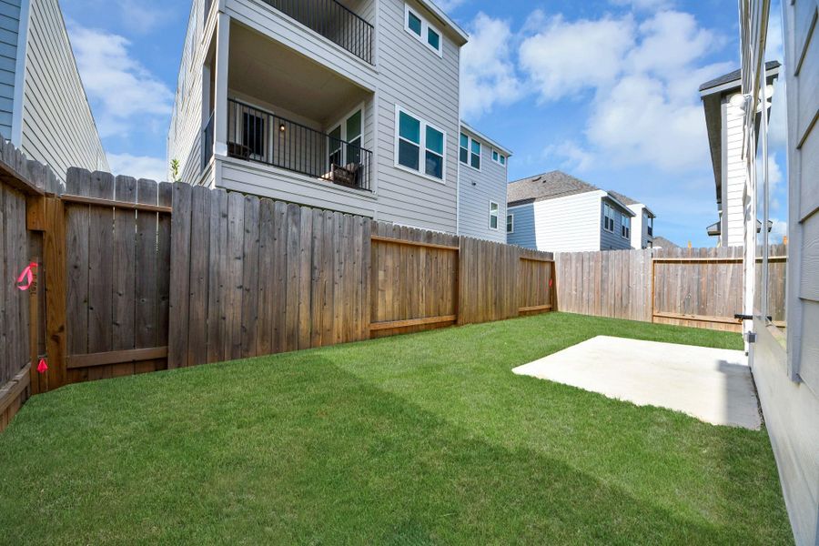 Backyard