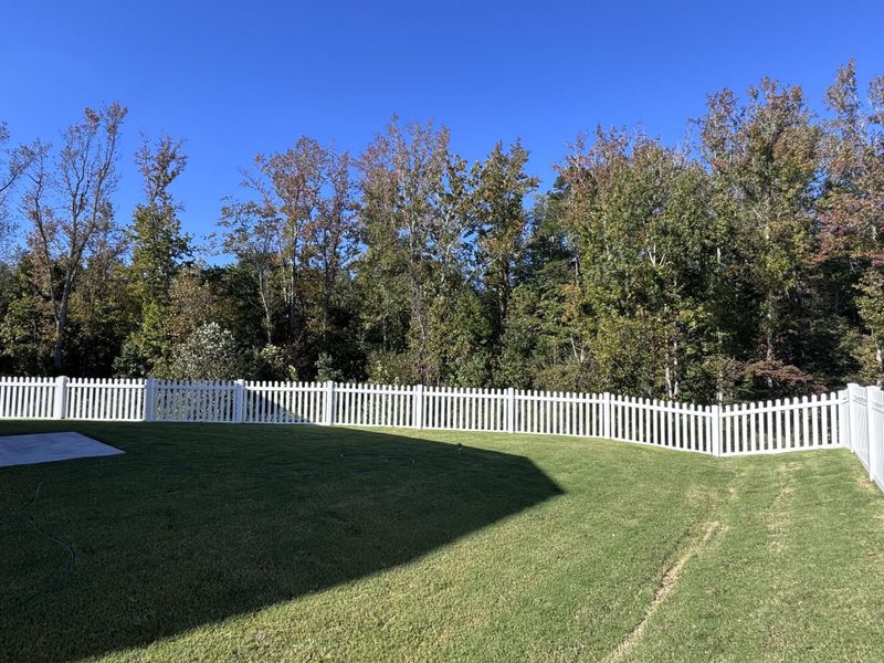 Natural landscape and outdoor views near Cottages at Piper Village in Trinity (Image 25). Natural landscape and outdoor views near Cottages at Piper Village in Trinity (Image 25).