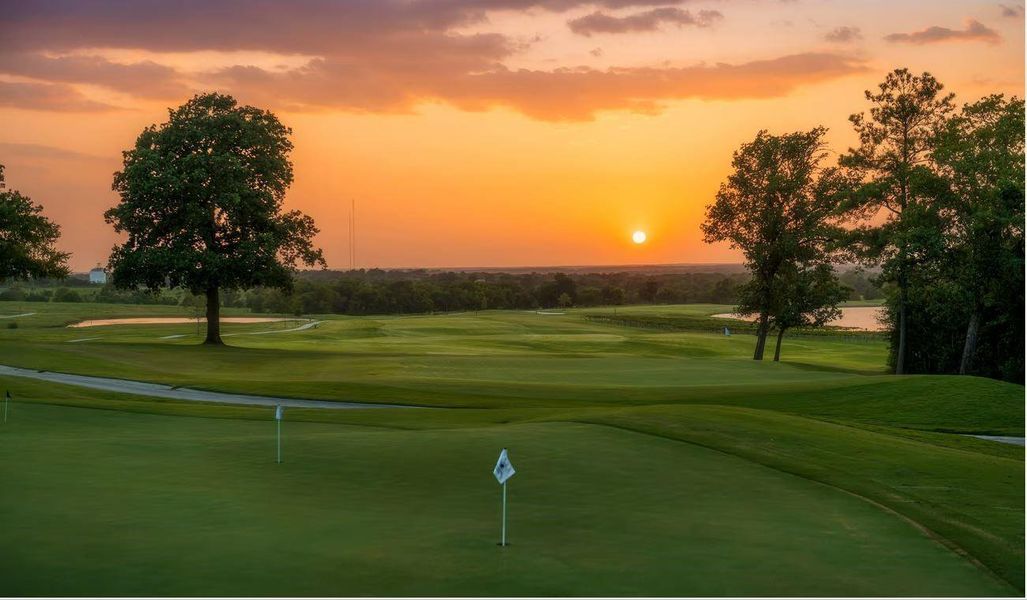 Natural landscape and outdoor views near Chambers Creek in Willis (Image 26).