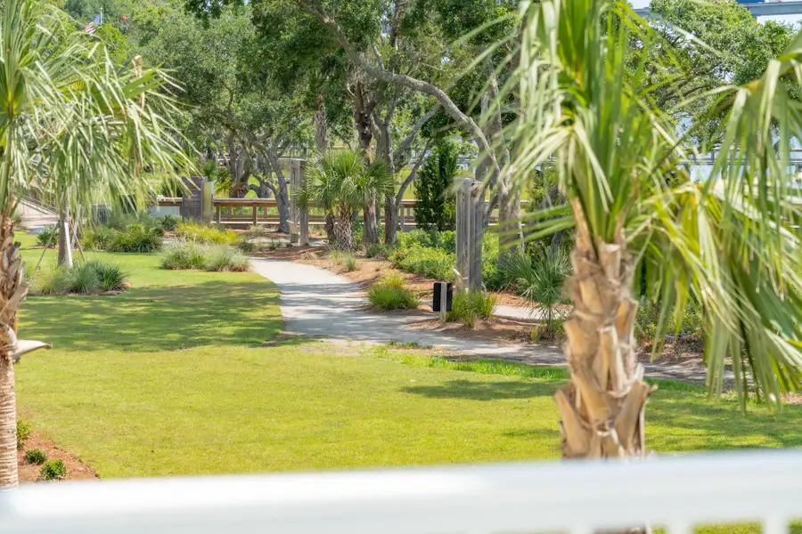 Natural landscape and outdoor views near  in Charleston (Image 28).