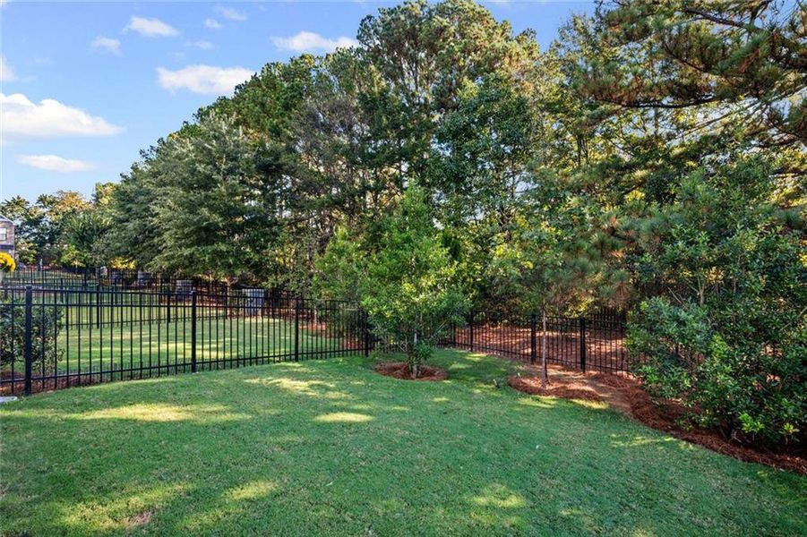 Natural landscape and outdoor views near  in Alpharetta (Image 41).
