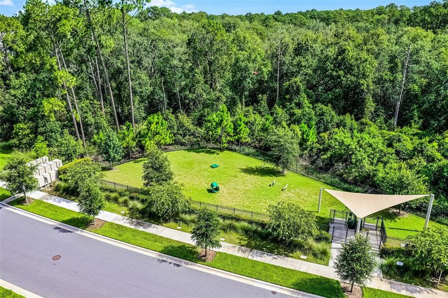 Image 38 of a home in Northlake At Ovation.