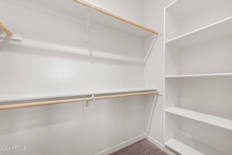 Walk-in Closet with ample shelving