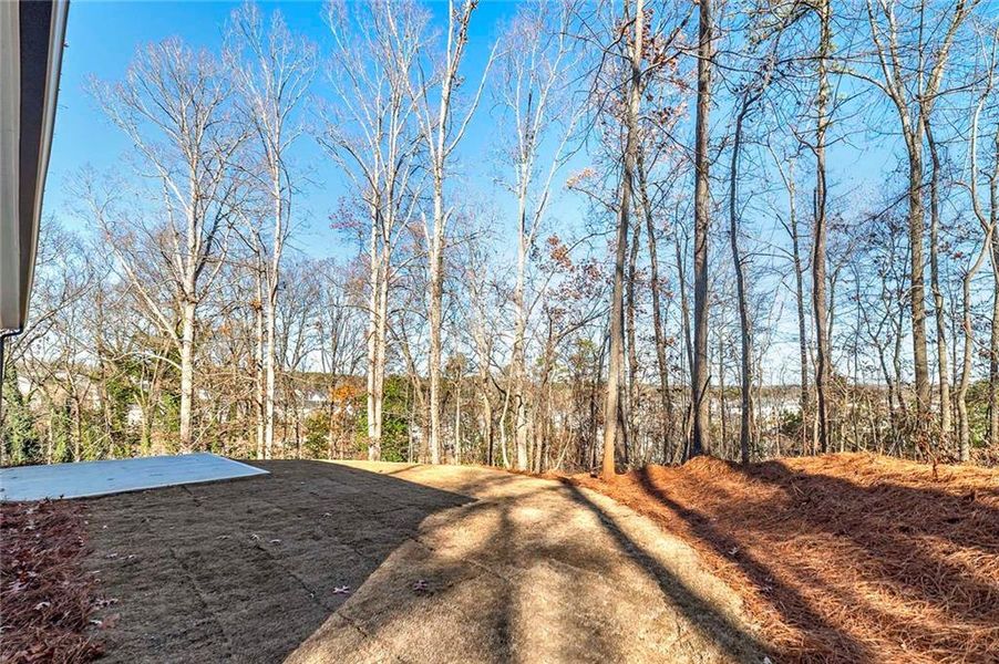 Natural landscape and outdoor views near  in Buford (Image 22).
