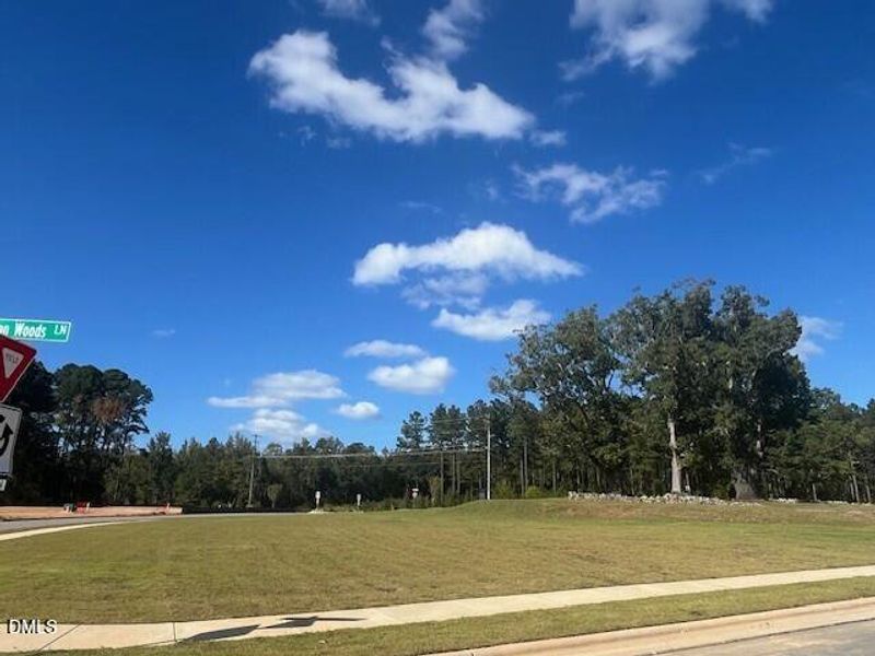 Green space area Green space area