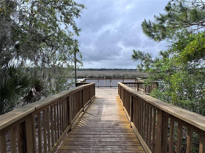 Natural landscape and outdoor views near  in Fernandina Beach (Image 58).
