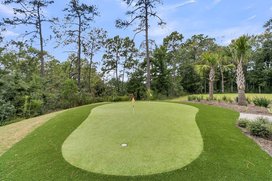 Natural landscape and outdoor views near  in Charleston (Image 45).
