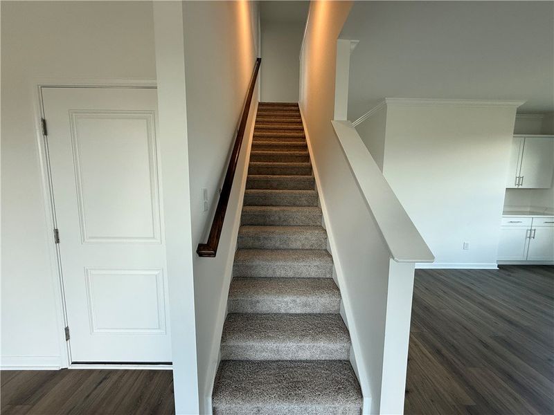 A graceful staircase with plush carpeting ascends A graceful staircase with plush carpeting ascends