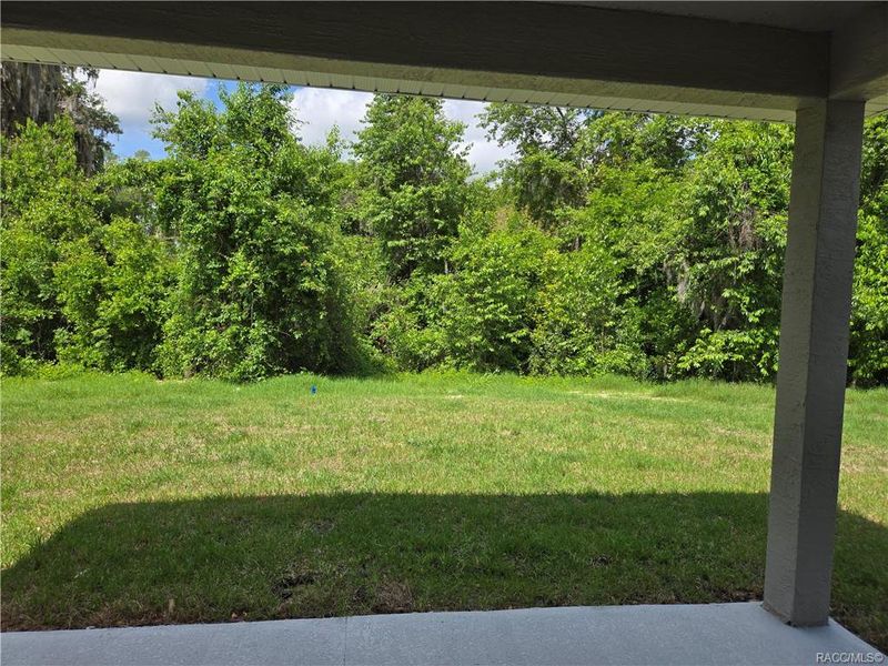 Exterior details and patio area of a home in Wyld Palms, Inverness (Image 3).
