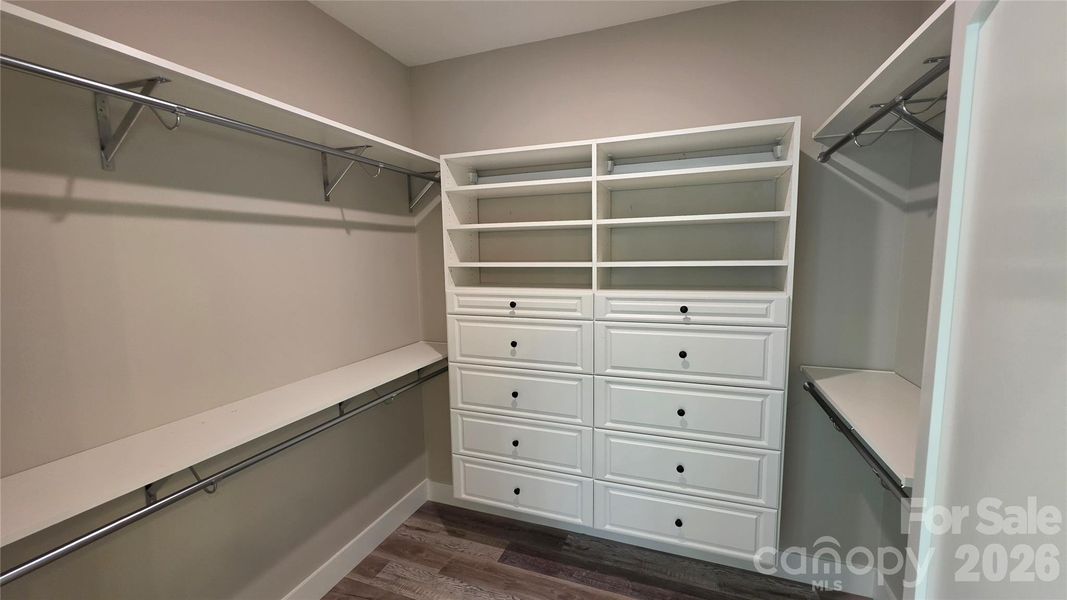 Primary BR Closet with Built-ins