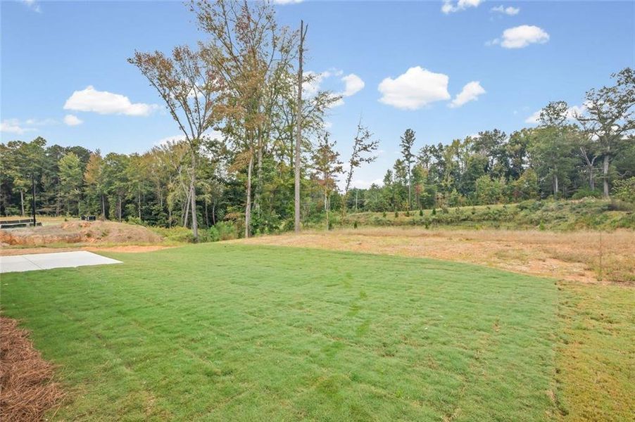 Natural landscape and outdoor views near Sage Woods in Dallas (Image 38).