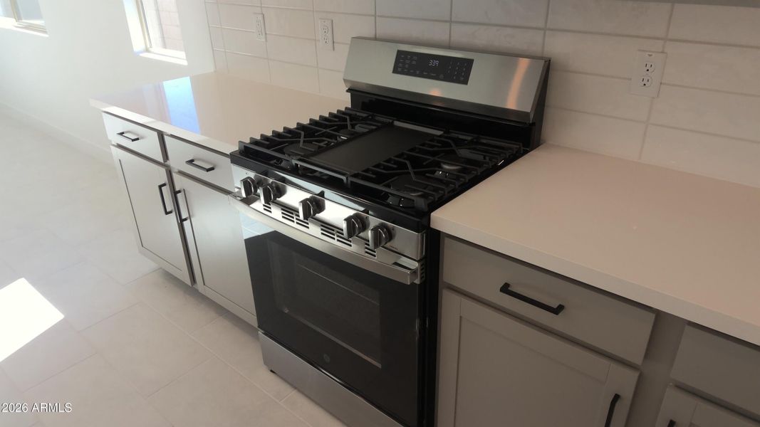 Stainless steel GAS range
