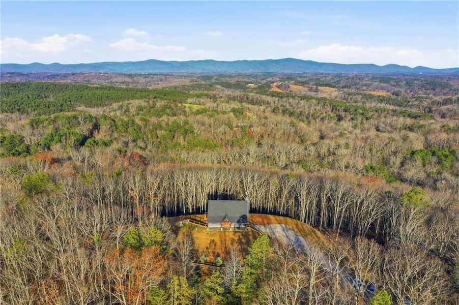 Natural landscape and outdoor views near  in Jasper (Image 43).