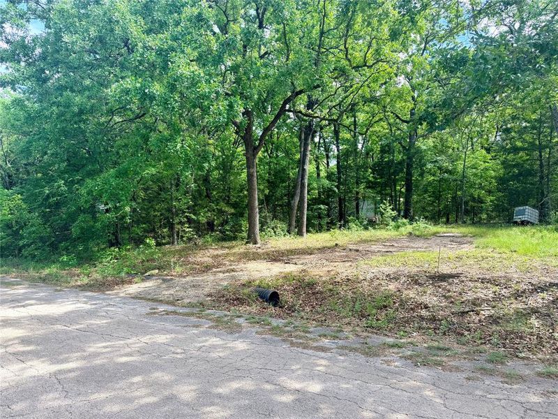 Natural landscape and outdoor views near  in Mabank (Image 16).