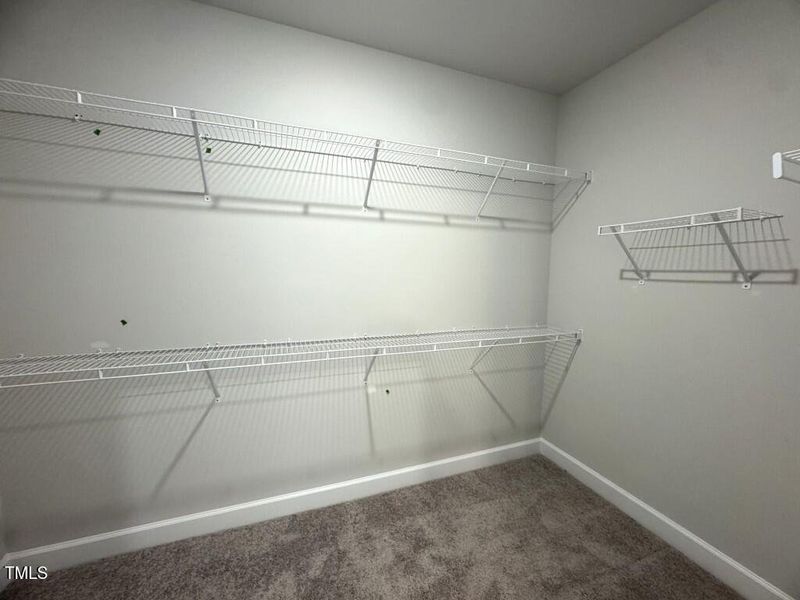 Photo Sep 09 2025, 5 12 03 PM (Medium)