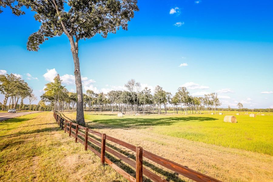 Natural landscape and outdoor views near in Hallsville (Image 14). Natural landscape and outdoor views near in Hallsville (Image 14).