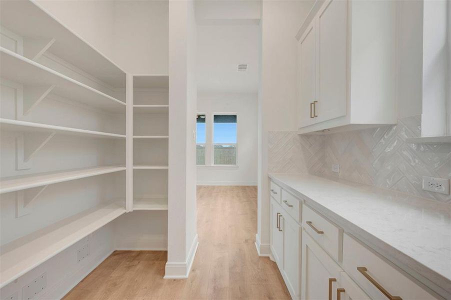 Kitchen pantry featuring extensive built-in shelving, white shaker-style cabinetry with gold-tone hardware, white countertops, and a white herringbone tile backsplash