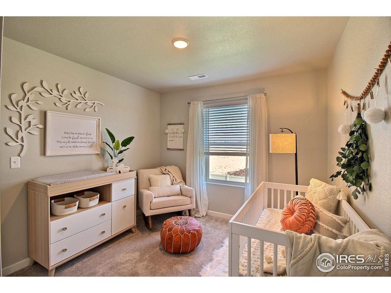 Furnished interior view inside a new home in Liberty Draw, Evans (Image 25).