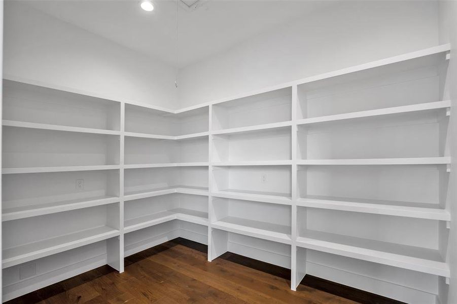 Texas size walk-in pantry.