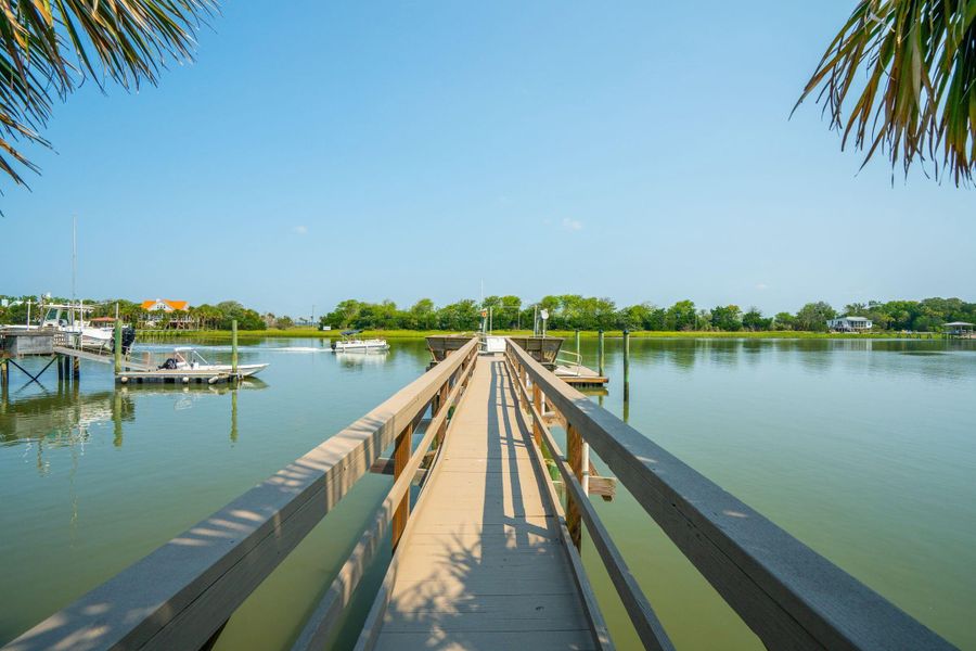 Natural landscape and outdoor views near  in Isle Of Palms (Image 111).
