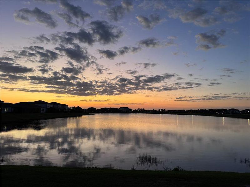 Natural landscape and outdoor views near Waterset in Apollo Beach (Image 53). Natural landscape and outdoor views near Waterset in Apollo Beach (Image 53).