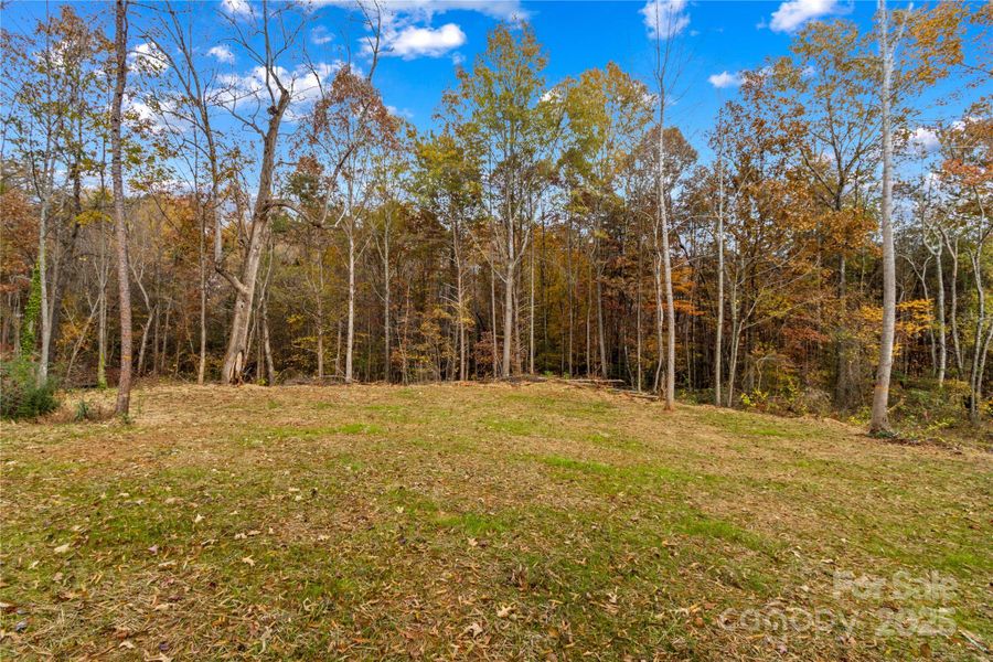 Natural landscape and outdoor views near  in Statesville (Image 38).