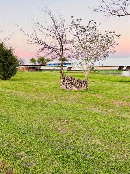 Natural landscape and outdoor views near  in Wills Point (Image 24).