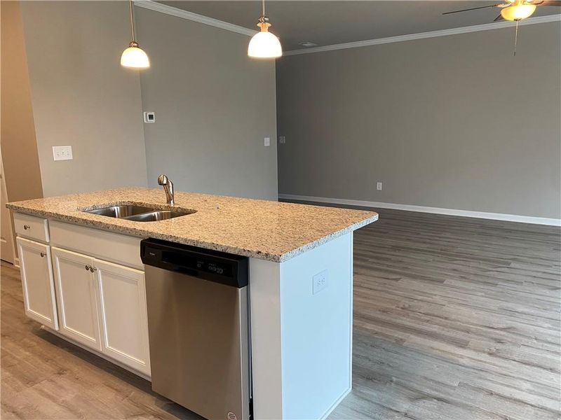 Furnished interior view inside a new home in Silver Fox Reserve, Oakwood (Image 3).