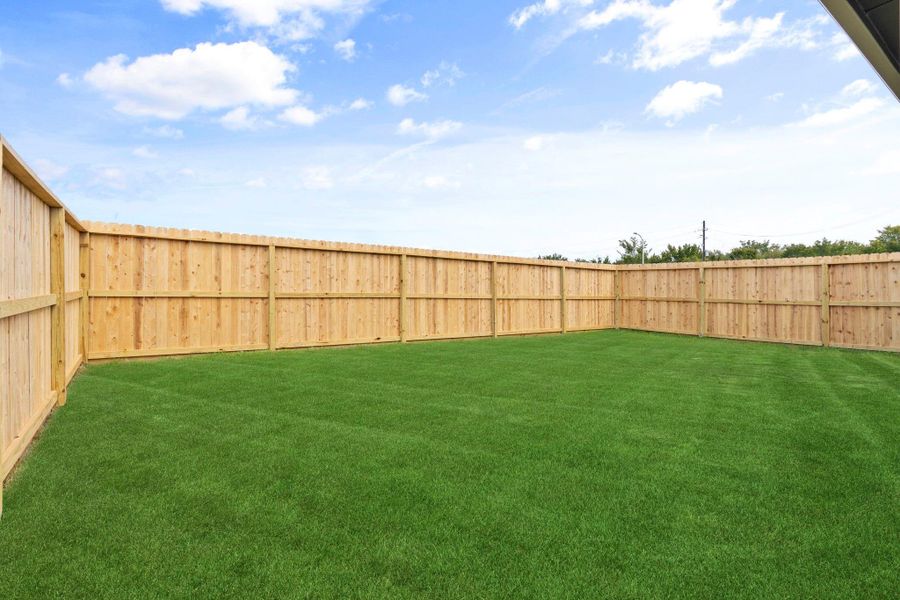 representative photo