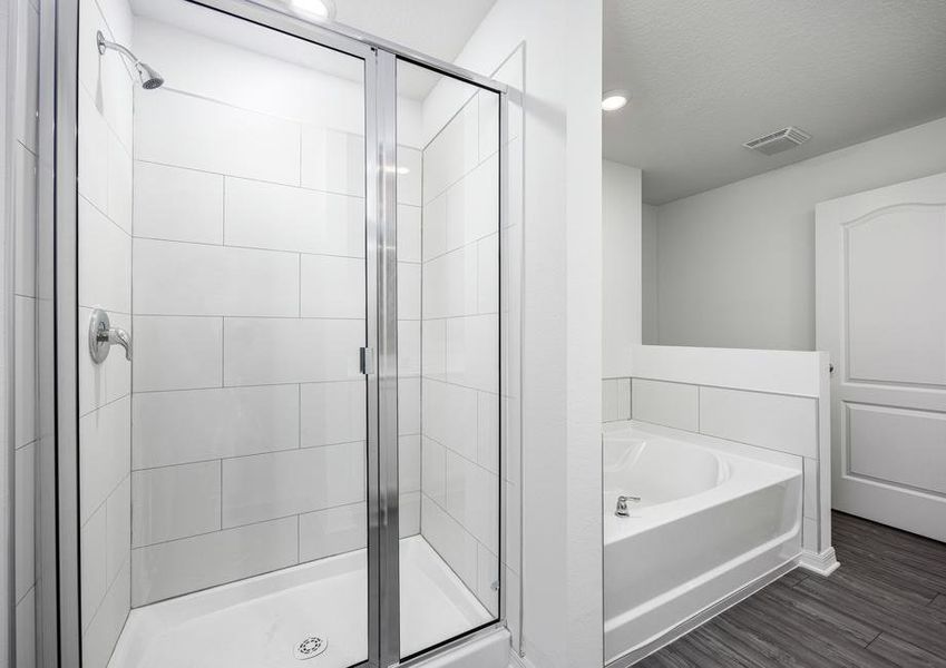 Walk-in shower in the master bathroom