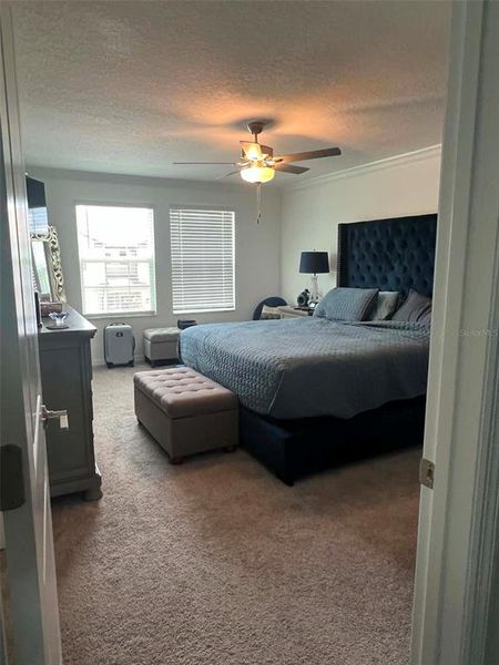Furnished interior view inside a new home in , Land O' Lakes (Image 8).