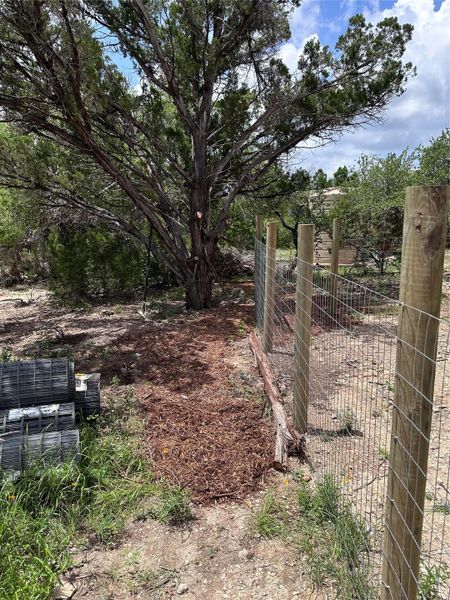 Mature trees and freshly mulched pathways define this peaceful and secluded backyard space.