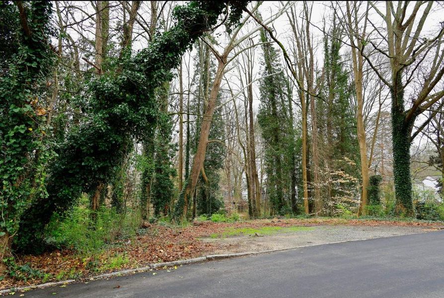 Natural landscape and outdoor views near  in Brookhaven (Image 7).